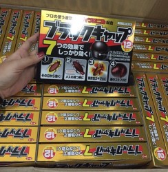 Hộp 12 viên diệt gián Japan
